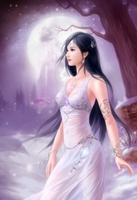 我的美女局长