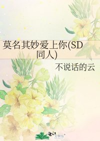 莫名其妙愛上你(SD同人)