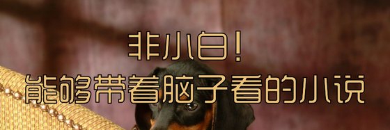 非小白！能够带着脑子看的小说